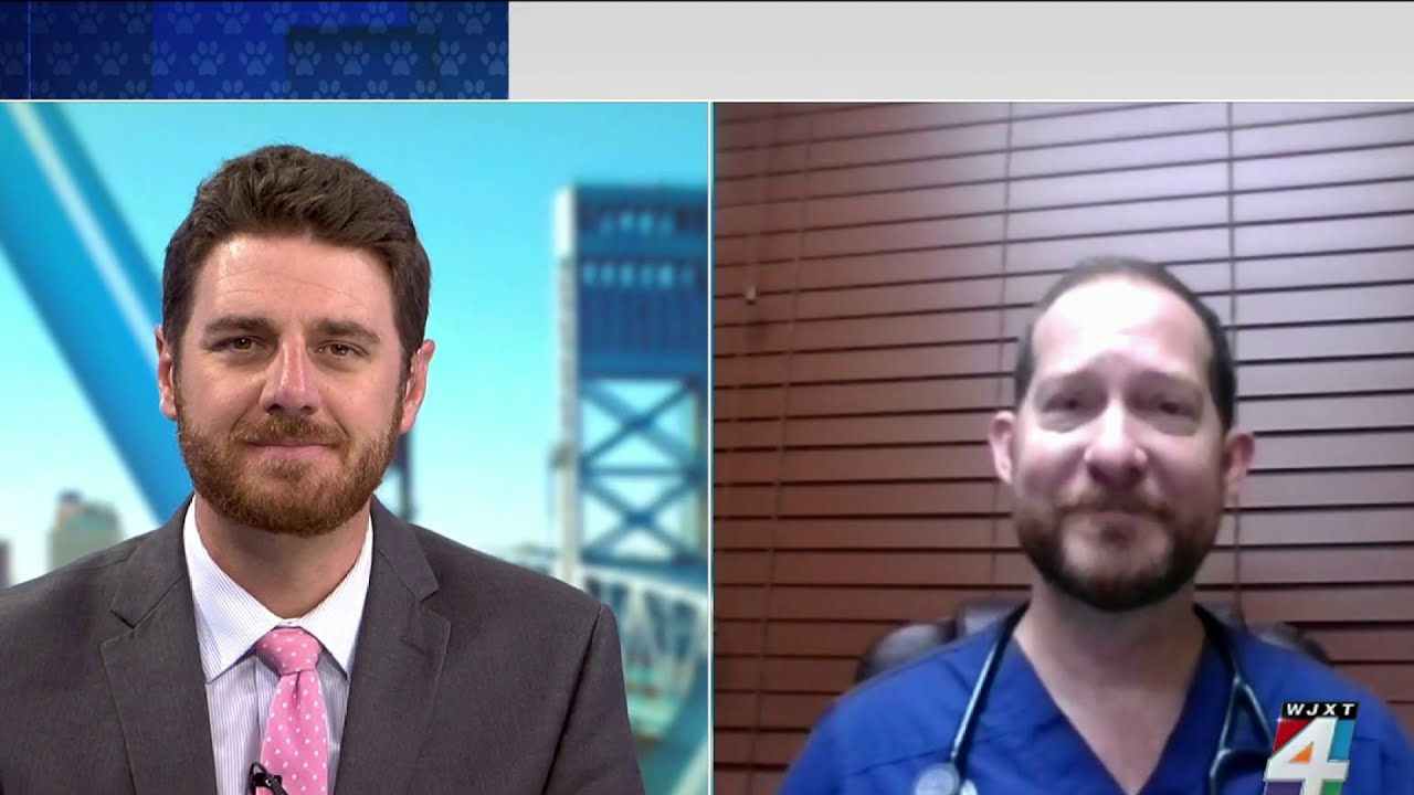 Protecting pets from snake bites