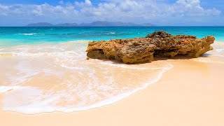 Sea Sounds: 3 Hours of Crashing Waves (White Noise) For Relaxation