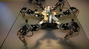 AntBot Hexapod StabilisationTest at Aalborg University
