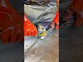 Cleaning a Thick Steel Wire Rope Using a Power Tool for a Smooth and Polished Finish #shorts