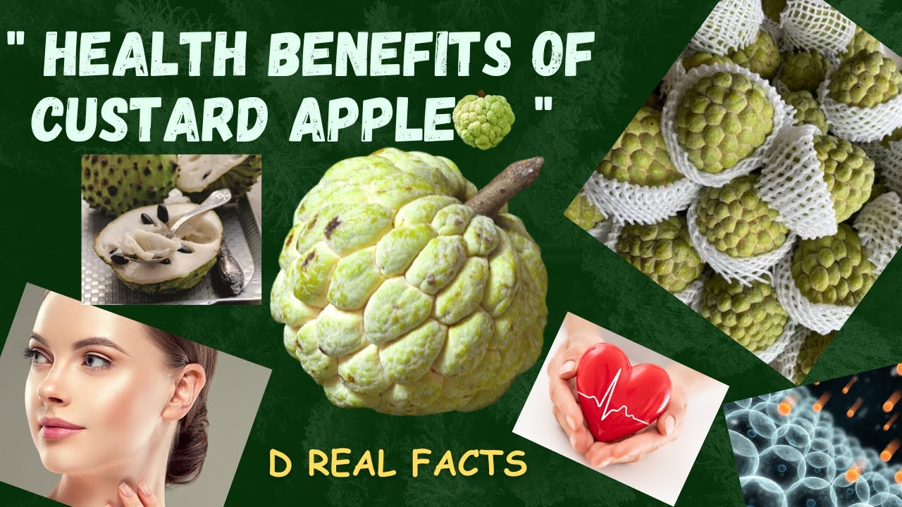 "Unlocking the Health Benefits of Custard Apple 🍈" #drealfacts - YouTube