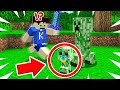 【マインクラフト】クリーパーが産んだ赤ちゃんが怖すぎるんだがｗｗｗ【マイクラ実況】