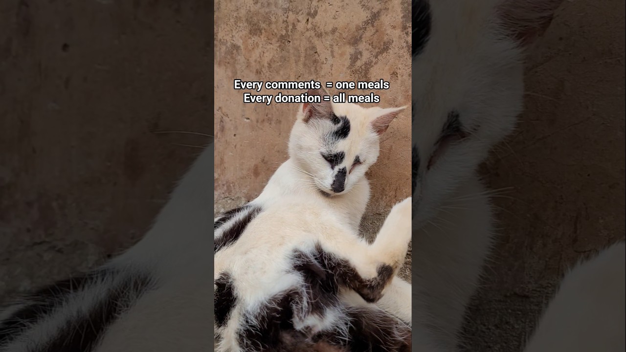 our PayPal link in bio  to support  and love today 