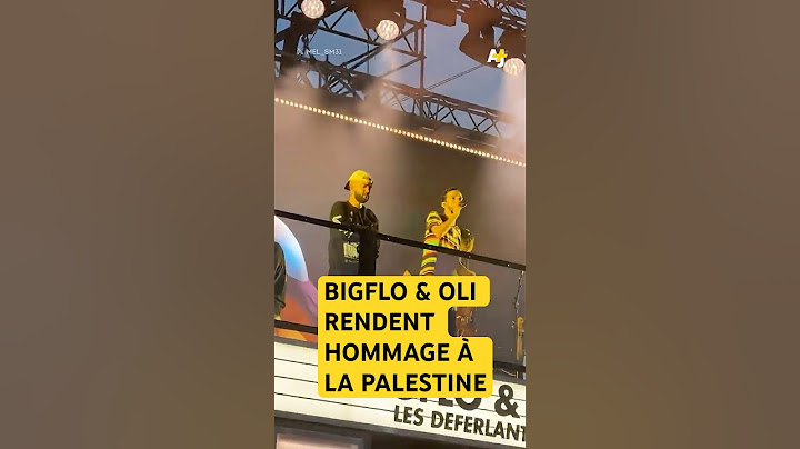 Bigflo & Oli rendent hommage à la Palestine