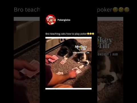 Únete a PinUp Casino: ¡Juega al Casino en Línea con Estilo en México!