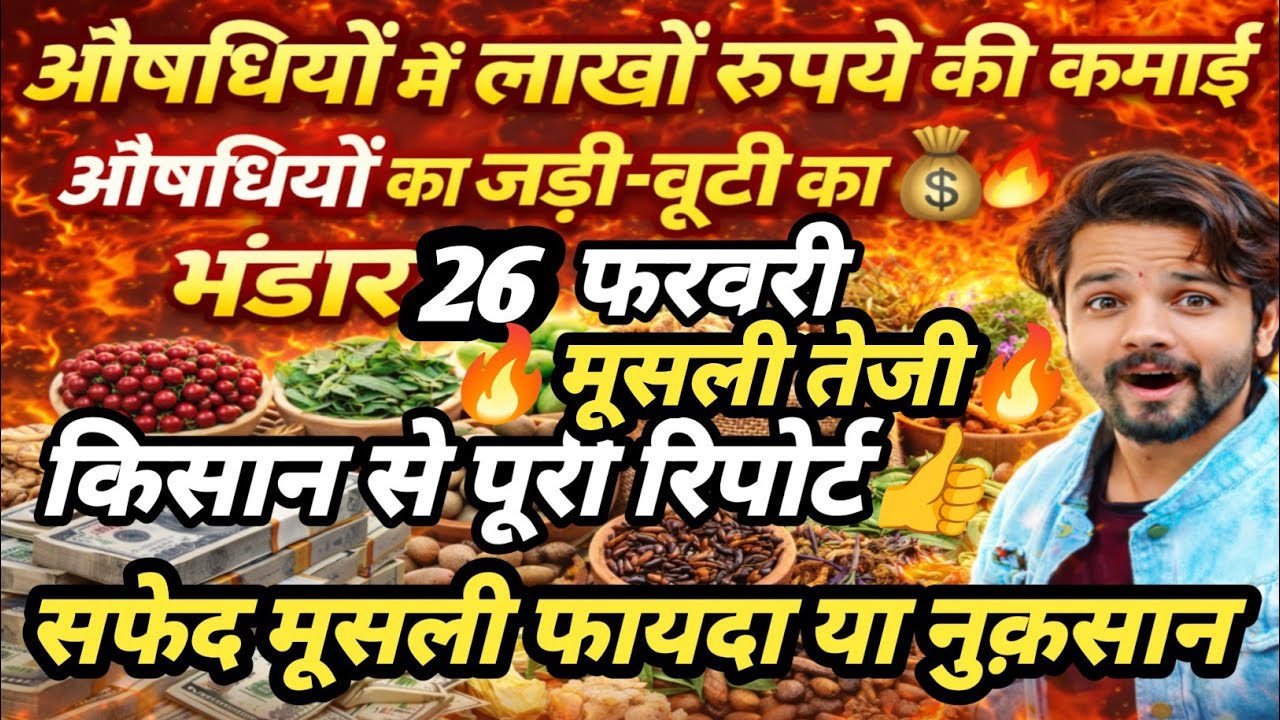 नीमच मंडी औषधीय भाव। मुसली का भाव। Neemuch Mandi aushdhiyon ka bhav, safed musli ka bhav neemuch 