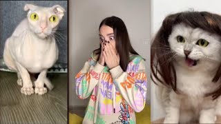 Best HACKS from Sonya NO2 | SONYAKISA8 TT #cat #cats