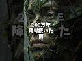 200万年続いた雨