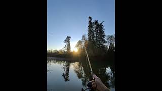 vintage 1972 DAM 330 reel and a Wright & McGill 8ft "golden west" rod #fishing #myeagleclawstory