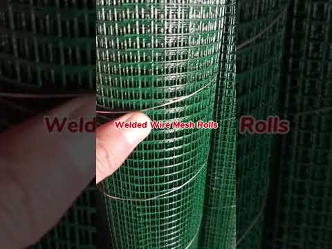 Green PVC Coated Welded Wire Mesh Plasticized Metal Fencing Material for Poultry and Animal