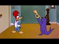 Woody Woodpecker Classic Mega Compilation Woody Befriends A Seal Retro Funny Cartoons 