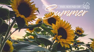 The refreshing sound of Summer finally coming back 🌻  ~ 【 3 Hours of Beautiful Piano Music 】