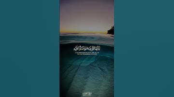 تلاوة جميلة بصوت الشيخ سلطان عبدالله العمري