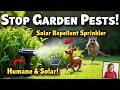 Why Solar Powered Garden Sprinklers Are a Game Changer for Homeowners #garden #ai