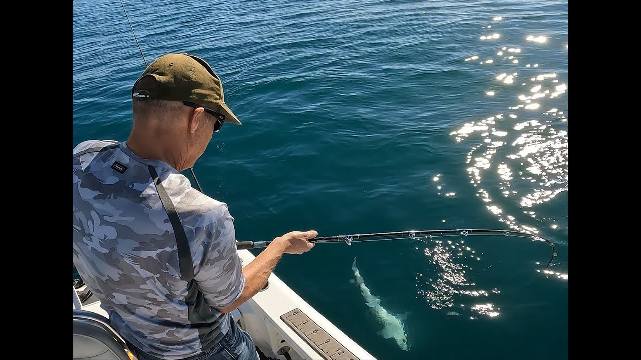 01/06/2024 Pacific Beach, La Jolla, Halibut, Leopard Shark, Calico Bass, Sand Bass, Rock Fish