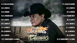 1 Hora De Puros Corridos De Caballos De Grupo Laberinto - Mix Corridos Exitos Lo Mejor de Lo Mejor