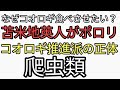 コオロギ推進派の正体を苫米地英人が地上波テレビでポロリ発言。なぜコオロギ食を食べさせたいのか？🔺👁️が爬虫類だから😅
