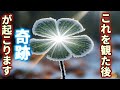 突然、この動画が表示された方は幸運の持ち主です。これはあなたを幸福へと導く動画です。これが観れたあなたには、この後、奇跡が起こります。