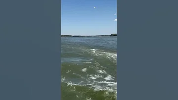Trecerea Frontierei Calarasi Silistra Prin Dunăre Unde Dunarea Nu Mai Este Granita Naturala Romania 