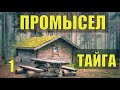 ПРОМЫСЕЛ В ГЛУХОЙ ТАЙГЕ ЗИМОВЬЕ ИЗБУШКА ОХОТНИКА ОДИН С ЛАЙКОЙ НА СОБОЛЯ ОТШЕЛЬНИКИ ЖИЗНЬ В ЛЕСУ 1