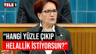 Meral Akşenerden Erdoğanın Hakaretlerinin Ardından Helallik Istemesine Sert Yanıt