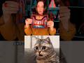 Target 50k views #cat #cats #catshorts #catvideos