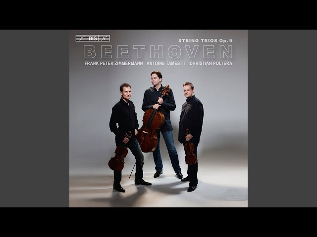 Beethoven - Sérénade pour trio à cordes: 5è mvt : F-P.Zimmermann / A.Tamestit / C.Poltéra