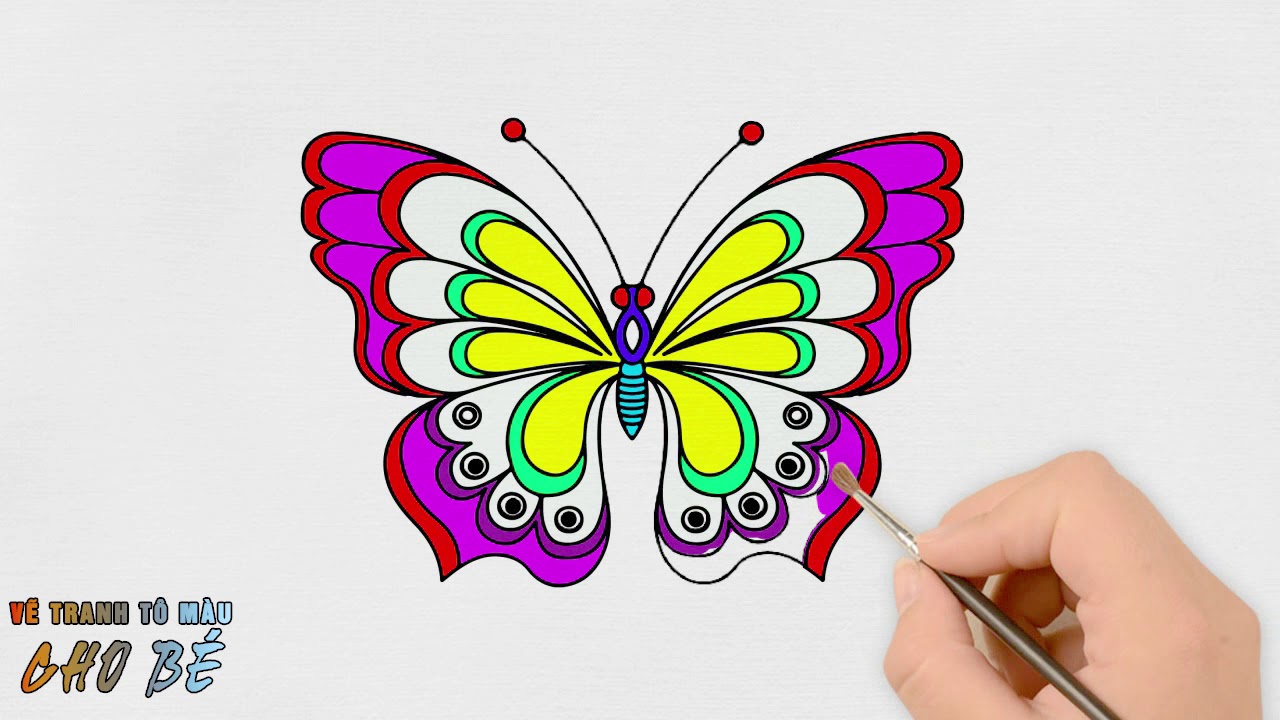 Vẽ Và Tô Màu Con Bướm | Draw And Color The Butterfly | Vẽ Tranh Tô Màu Cho  Bé | Hình Tô Màu Cho Bé | Hướng Dẫn Vẽ Tranh Đẹp Nhất - Việt Nam Brand