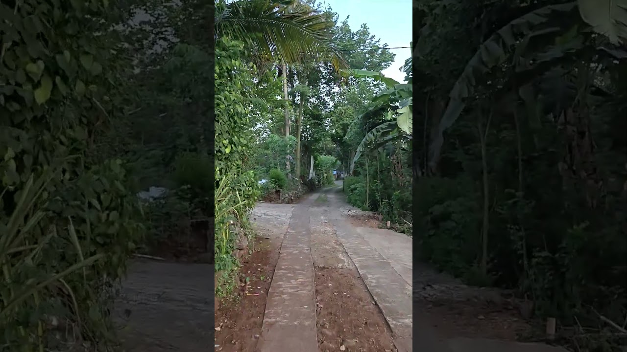 Shorts Artificial Intelligence What We're Not Being Told #gunungkidul #ai #banks