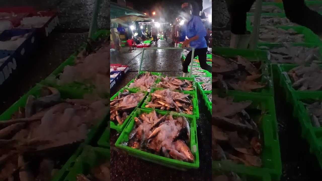 Ôi thật quá bâť ngơ Cuộc sống mưu sinh 365 # xuhuong #yutube #nguyenthanh 