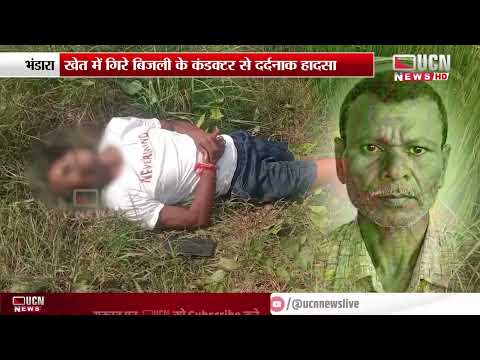 Bhandara - खेत में गिरे बिजली के कंडक्टर से दर्दनाक हादसा
