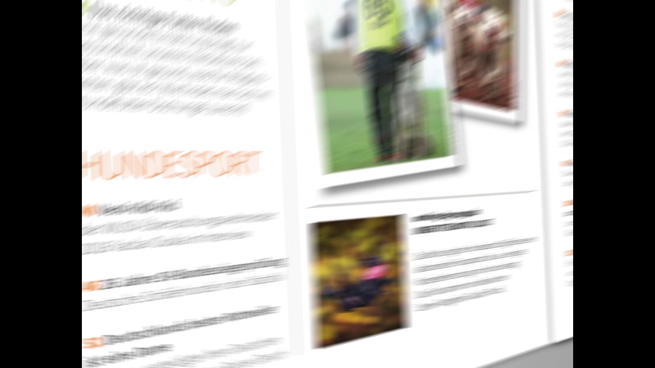 hundesport kryssord working-dog-magazin 01/2017 alle Themen