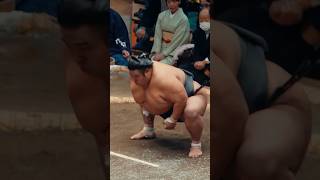 ¿Por qué todos los luchadores de sumo tienen PANZA? 🤔🥐🇯🇵 #shorts #travel #japon #curiosidades