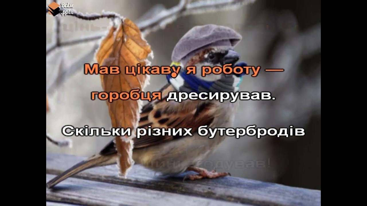 Миколая пісенька