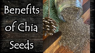 The Benefits of Chia Seeds