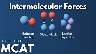 MCAT Intermolecular Forces Explained in 4 Minutes
