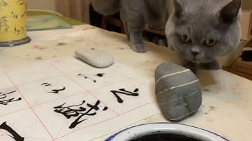 Part 7 of Lantingxu. Learn from the best Chinese Calligrapher Wang Xizhi