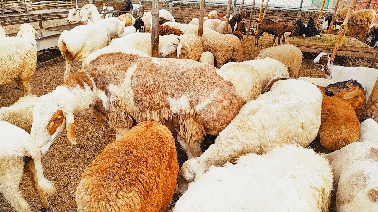 2-xonada jinsiy aloqa royxatdan holda tomosha qiling