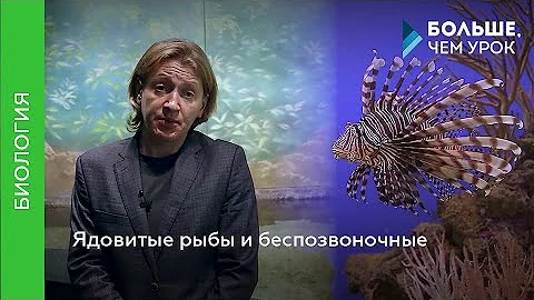 Ядовитые рыбы и беспозвоночные
