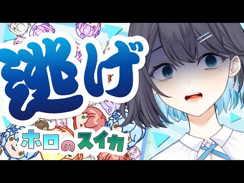 LIVE | 念願のホロライブのファンメイドゲーム「ホロのスイカ」をプレイ！BIG♡にしちゃうｿﾞ🍉🍉🍉【 夢乃ほのか | Vtuber 】 #ほのにむちゅー