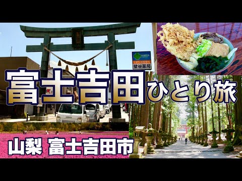 【富士吉田と富士芝桜の旅】富士吉田のご当地グルメと世界遺産、絶景の富士芝桜まつり/富士吉田・富士河口湖