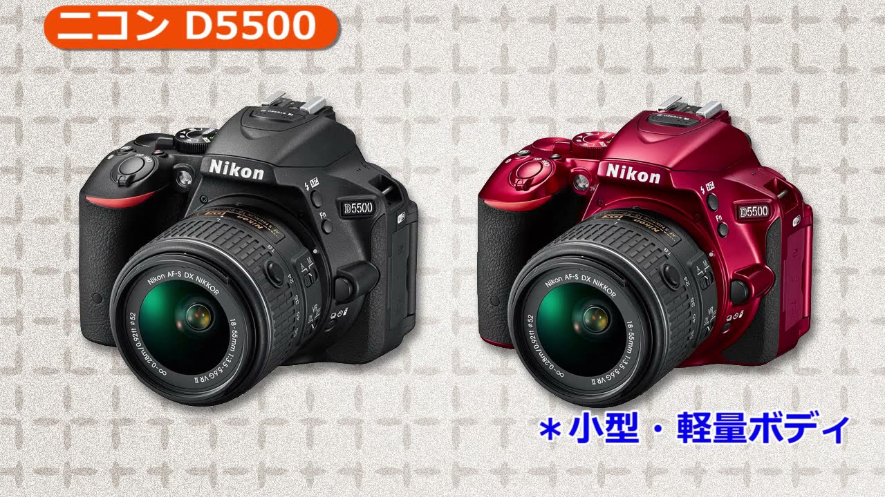 ニコン神レンズ】Nikon D5500もう一つのレンズキット AF-S DX NIKKOR