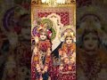meri matki fod gyo nand lala