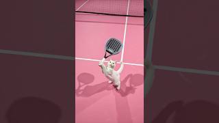 White Cat Padel Skills Are Crazy | Meow Magiceyes 😸