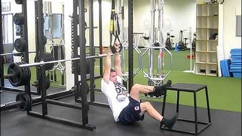 Single Leg Pullup-Inverted Row-Hip Thruster Combo