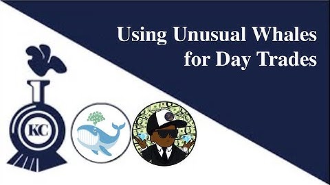 Using Unusual Whales for Day Trades