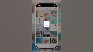 How To Remove The Backgrounds of Multiple Photos 🤯 | Bazaart