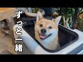 愛犬とふたり暮らしになり初めてのデートをした1日