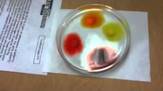 Skittles experiment