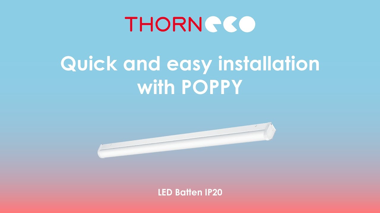 THORNeco POPPY: An easy to install and versatile IP20 batten - YouTube